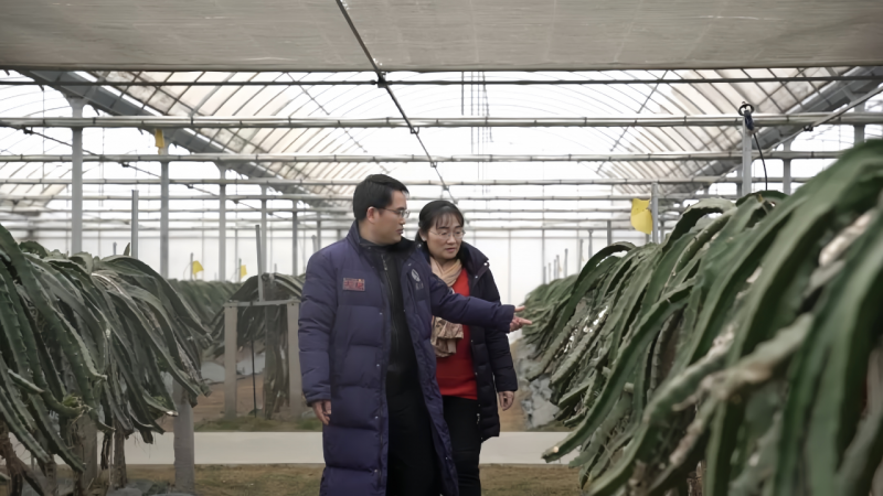 “快乐农夫”吴奇能，以科研精神重构解酒格局。