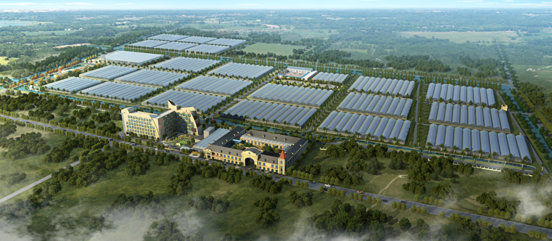 b61897c60a69b379784539e50b2d7731