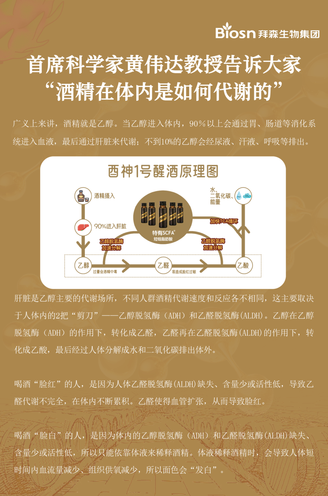 b525797e9c5bb5eea591227ce57caa12